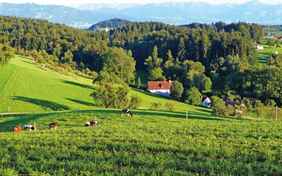 Das Landhotel Martinsmühle in schöner Alleinlage nahe des Bodensees